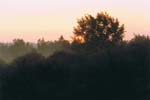 Bild113